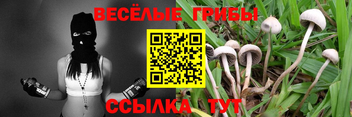 Коркино  Галлюциногенные грибы ЛСД  магазин продажи   Вход с VPN 